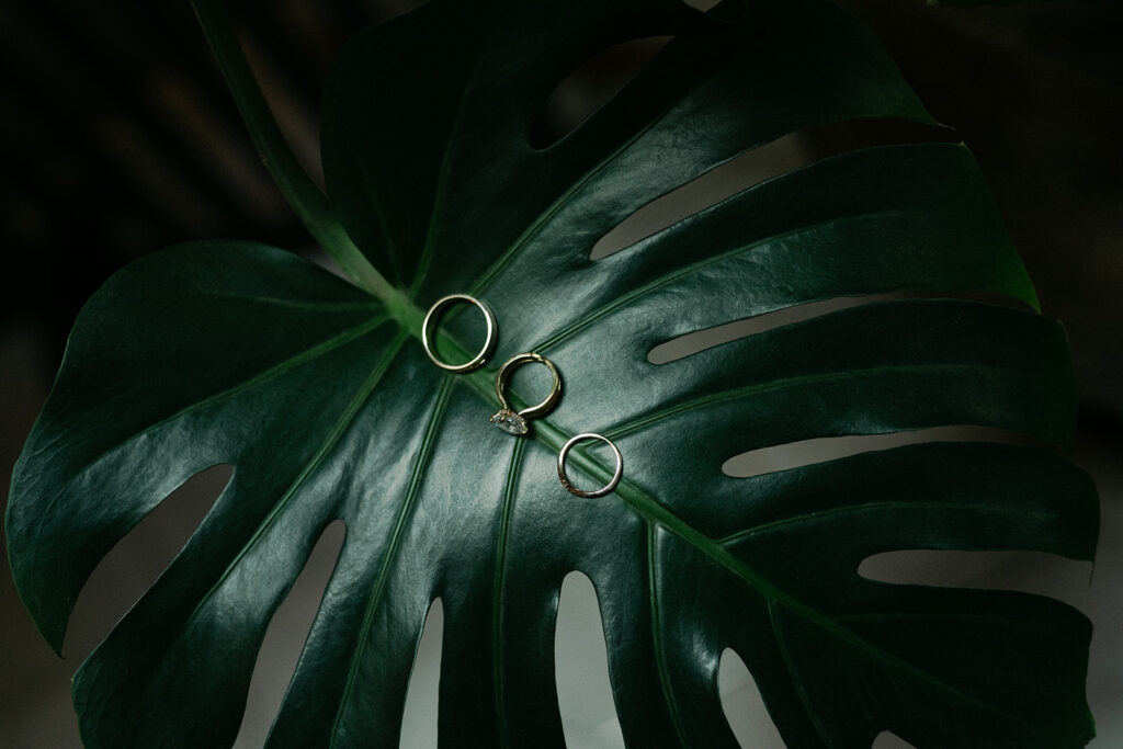 Editorial wedding in Oregon